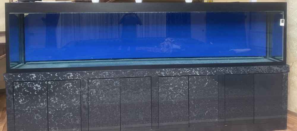 Akvarium holati zor kotta