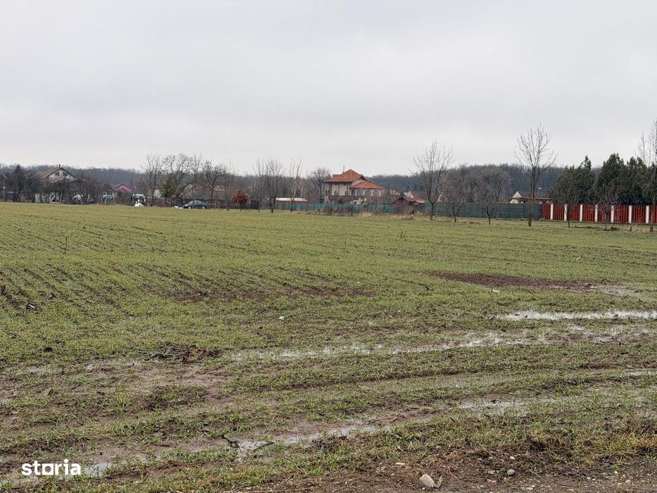 Teren Snagov - Cioflinceni | Drum amenajat | Aproape de Padure si Lac