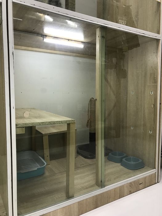 Передершка жыводных