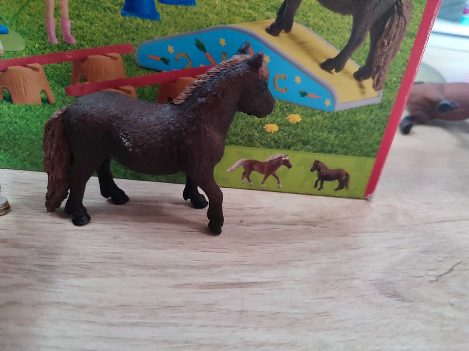 Caii schleich foarte bine îngrijit