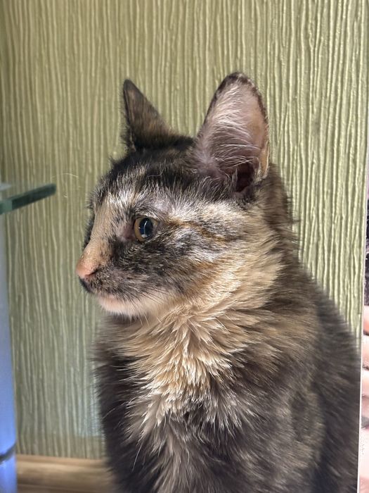 Только ответственным