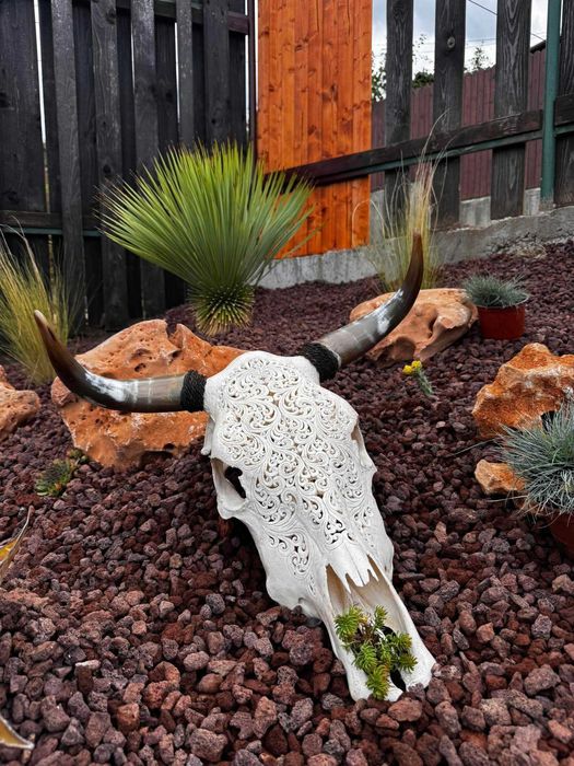 Градински услуги и напоителни системи