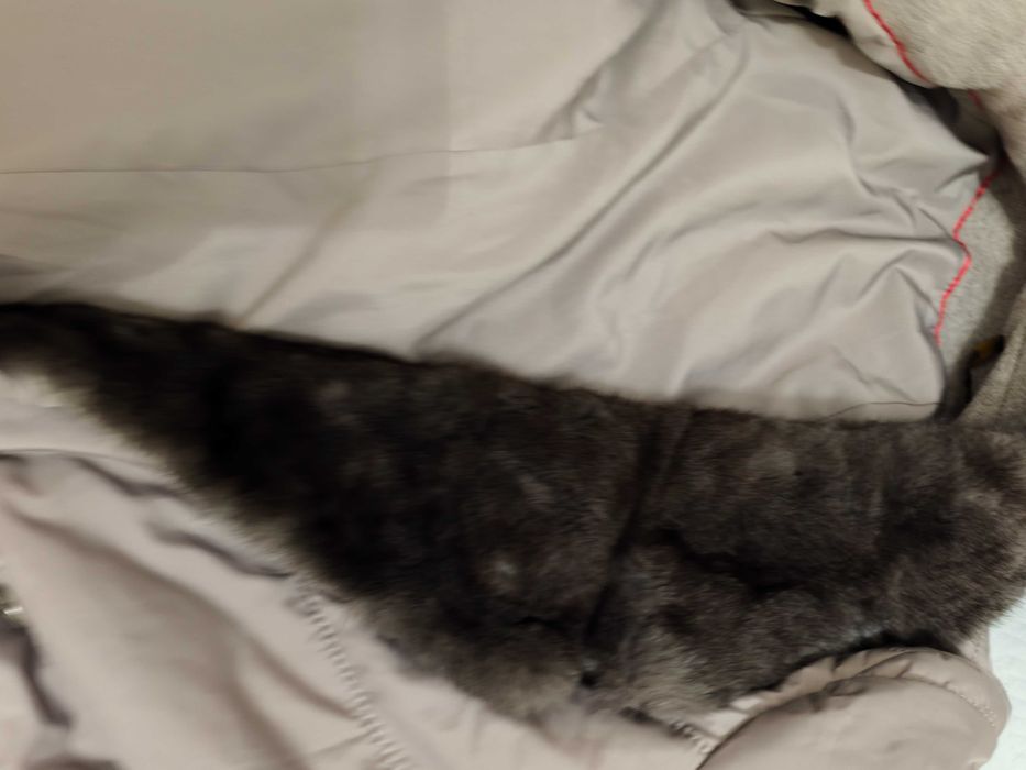 Продам пальто в хорошем состоянии