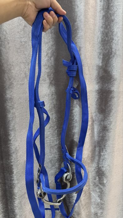 Атқа арналған жүген