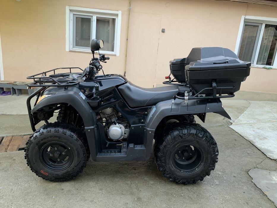 Atv Wild Cat 250