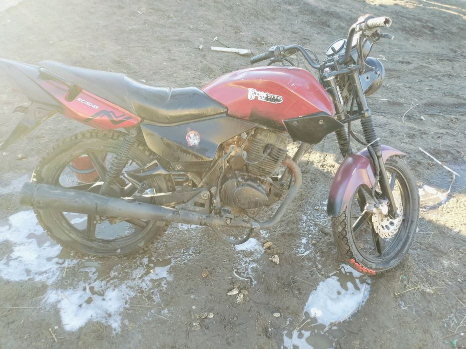 Мотоцикл Рейсер Тайгер 150куб