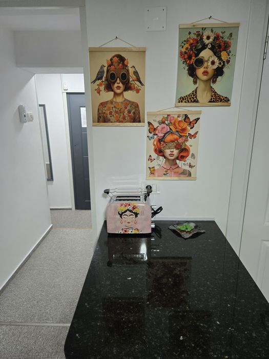 Apartament complet mobilat și utilat cu toate dotările se dă în chirie