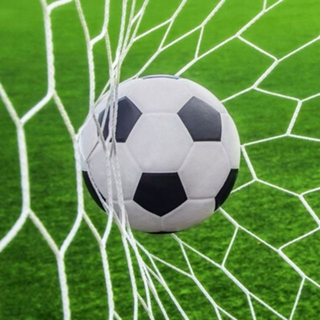 Сетка спортивная