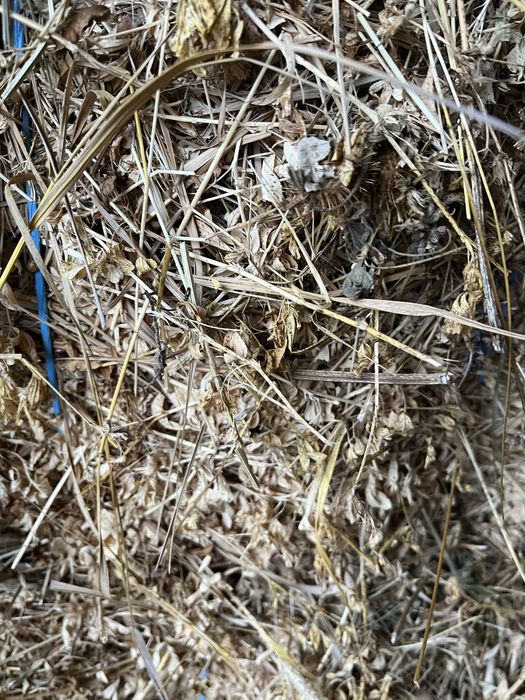 Vand baloti de lucerna