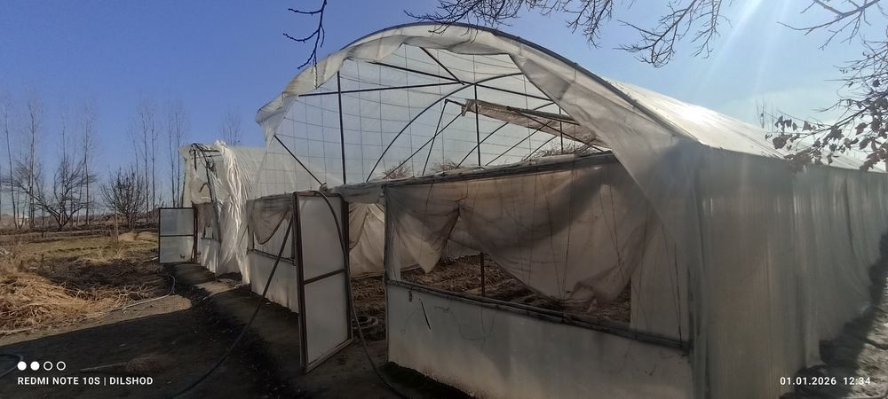 Parnik sotiladi 5 sutik