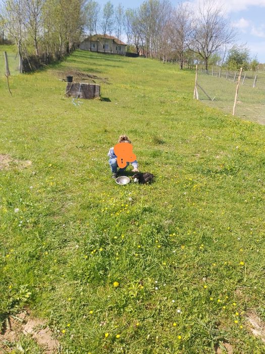 Casa cu teren1900mp Izbuc