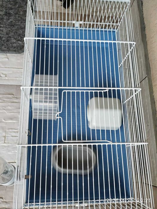 Vand cusca de Hamster