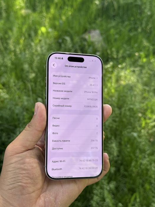 IPhone 16 Pro 256 Natural Titanium