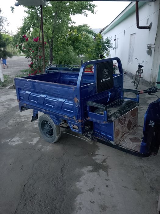 Elektron murave sotiladi