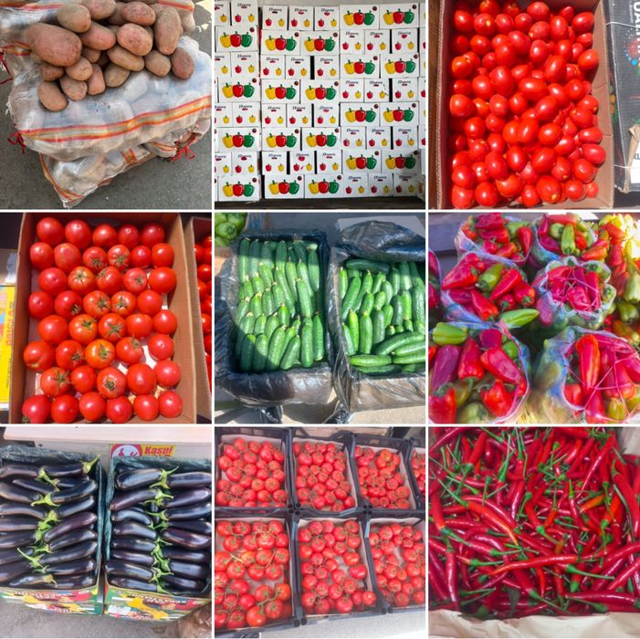 Картофель лук морковь свёкла капуста тыква