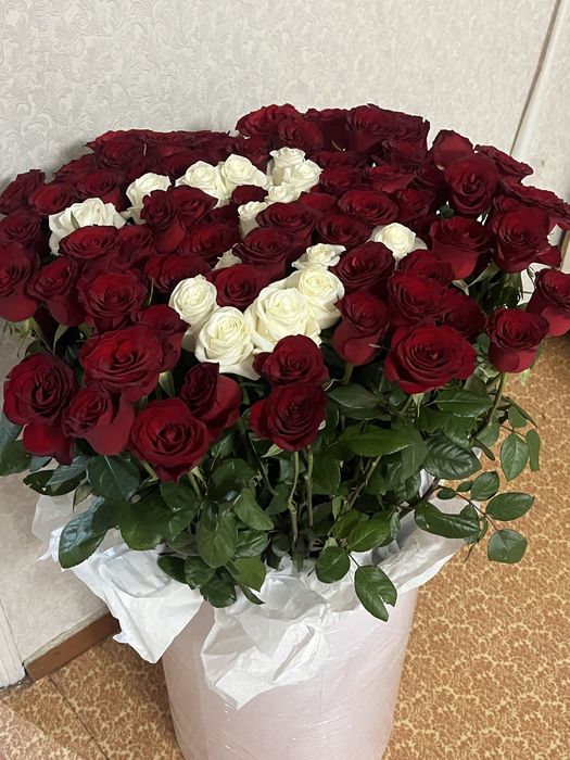 Продам 101 розу метровые