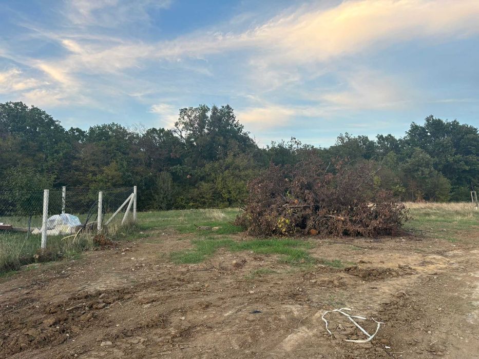 Vand teren intravilan in Betfia langa padure 1001 mp.