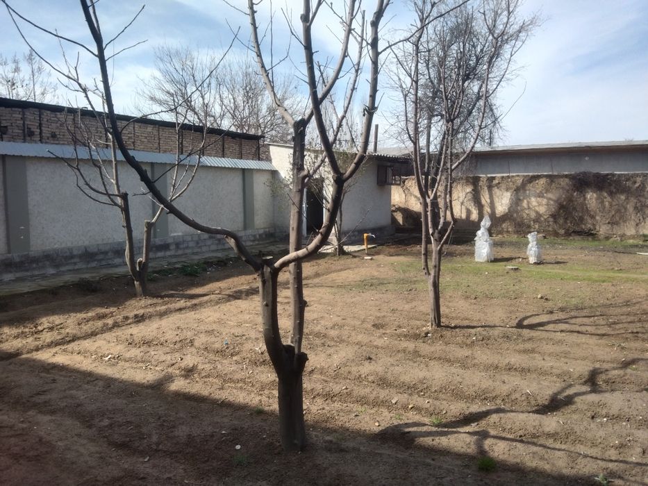 Uchastka bolib tolashga