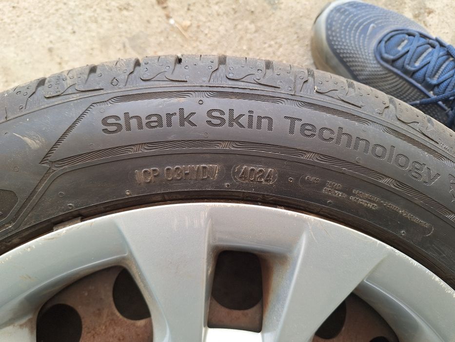 Caucicuri cu genti si capace