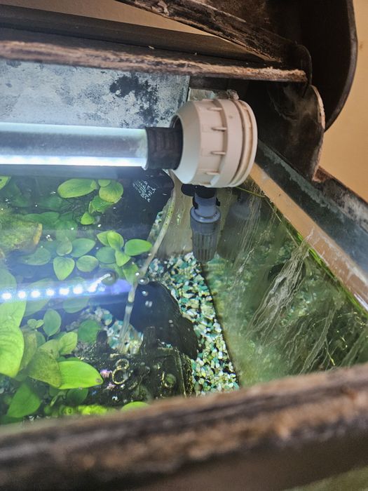 Vand acvariu pesti de 40 l