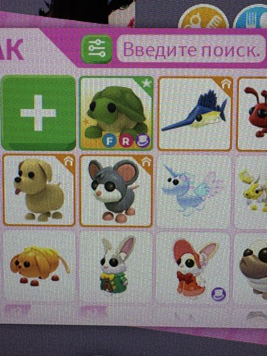 Фр черепаха адопт ми