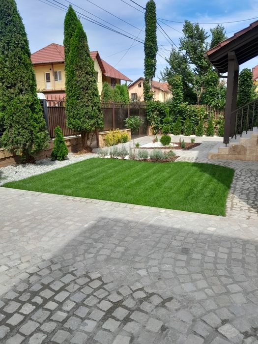 Gazon Rulou  / Amenajări Grădini