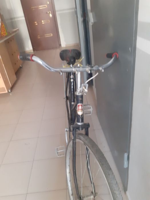 Веласепет шымкент