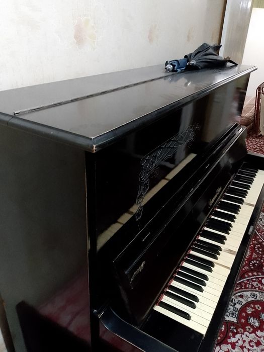 Poanino holati yaxshi srochno sotiladi narx kelishilad