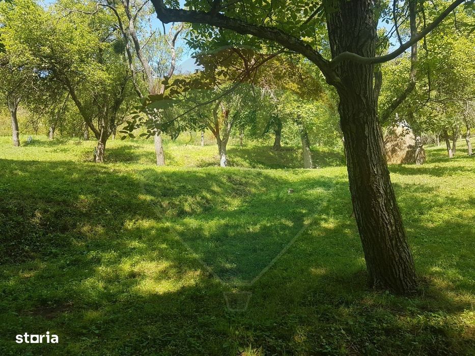 1.72 ha TEREN DE VANZARE - Seini