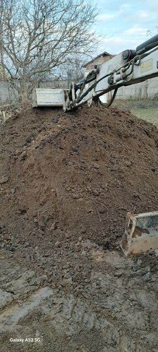 Mranita ( balegar macerat) pentru gradina