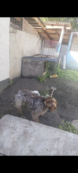 Продам Дратхар кабель