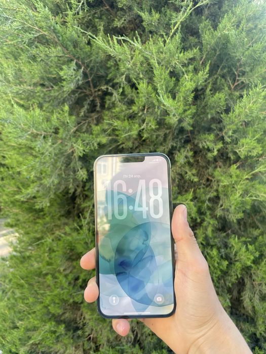 iPhone 13 Pro max