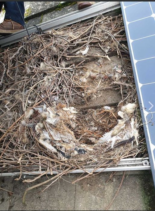 Plasa protectie antipasari panouri solare, 50 elemente de fixare, 15cm