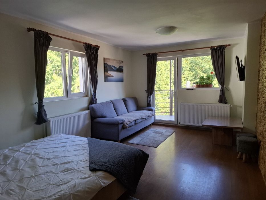 Cazare Busteni Vila Monica