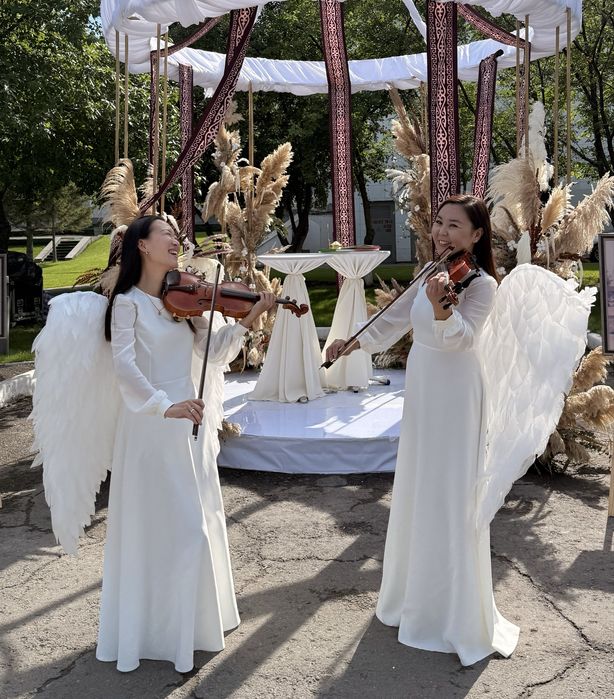 Дуэт трио скрипка и виолончель