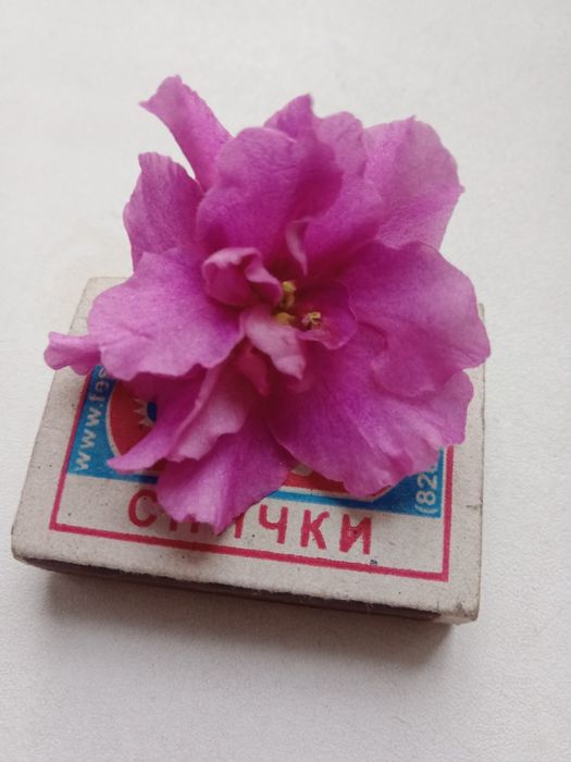 Листочки по 200 т.