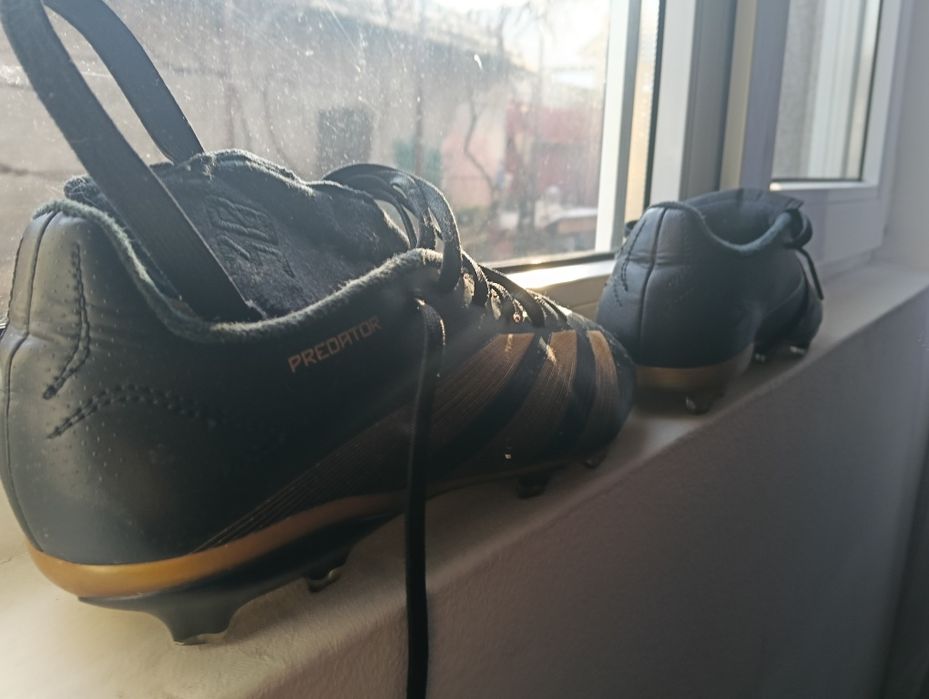 Ghete predător de buna calitate negociabil