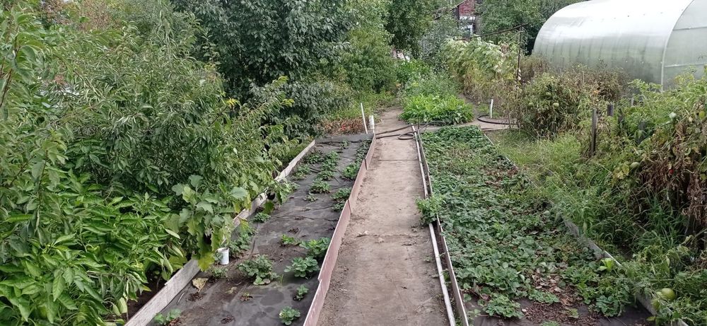 Недвижимость дача земля продажа