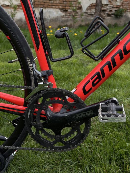 cursieră Cannondale Synapse