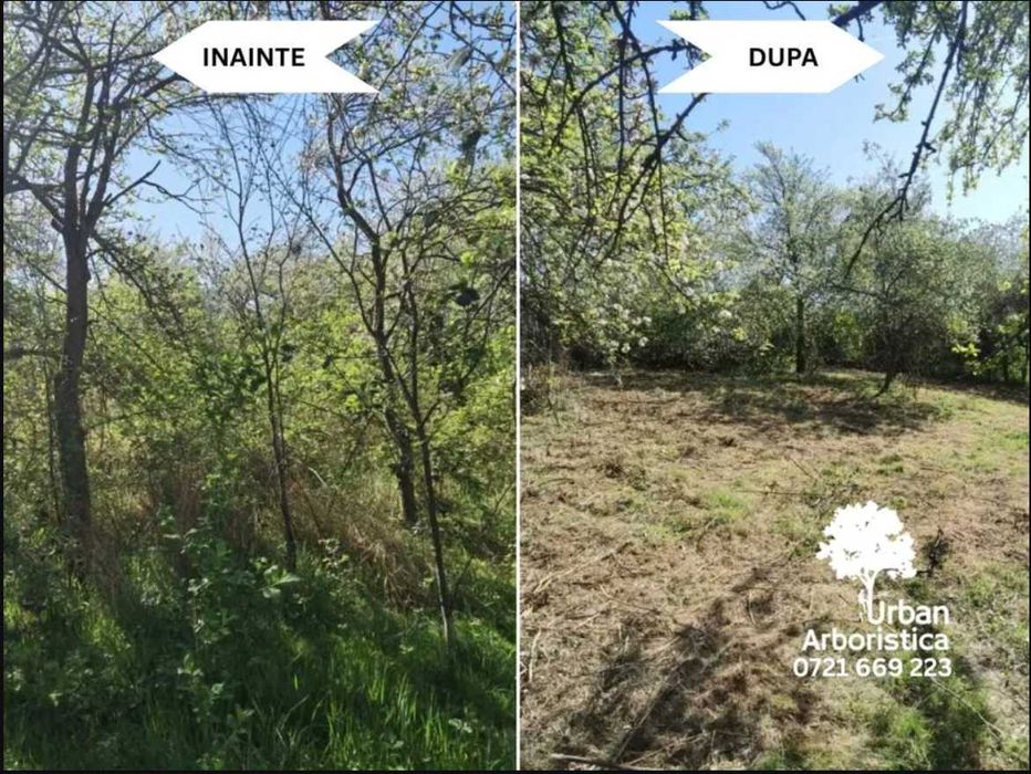 Cosit Curți Terenuri Pajiști Livezi Cluj-Napoca