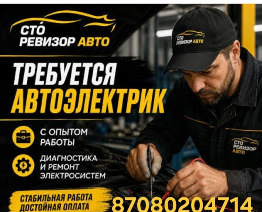 Авто электрик 24.12 вольт