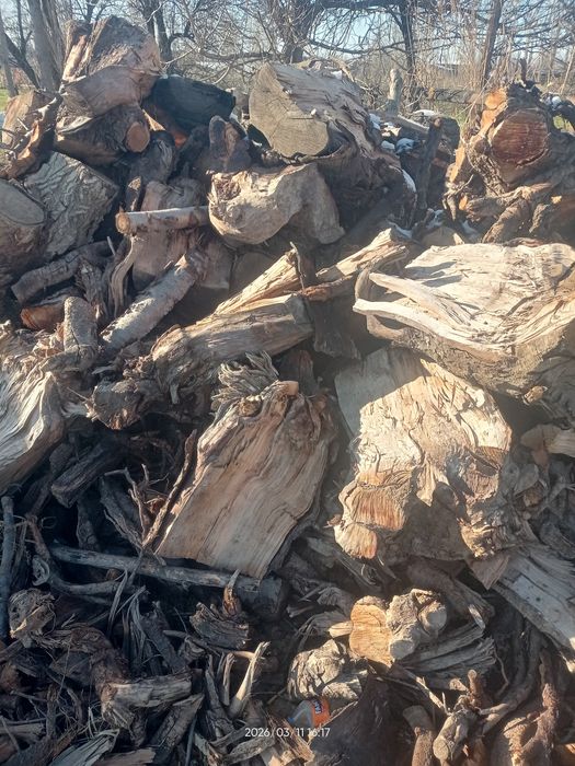 Quruq oʻtin sotiladi mevali daraxt oʻtini