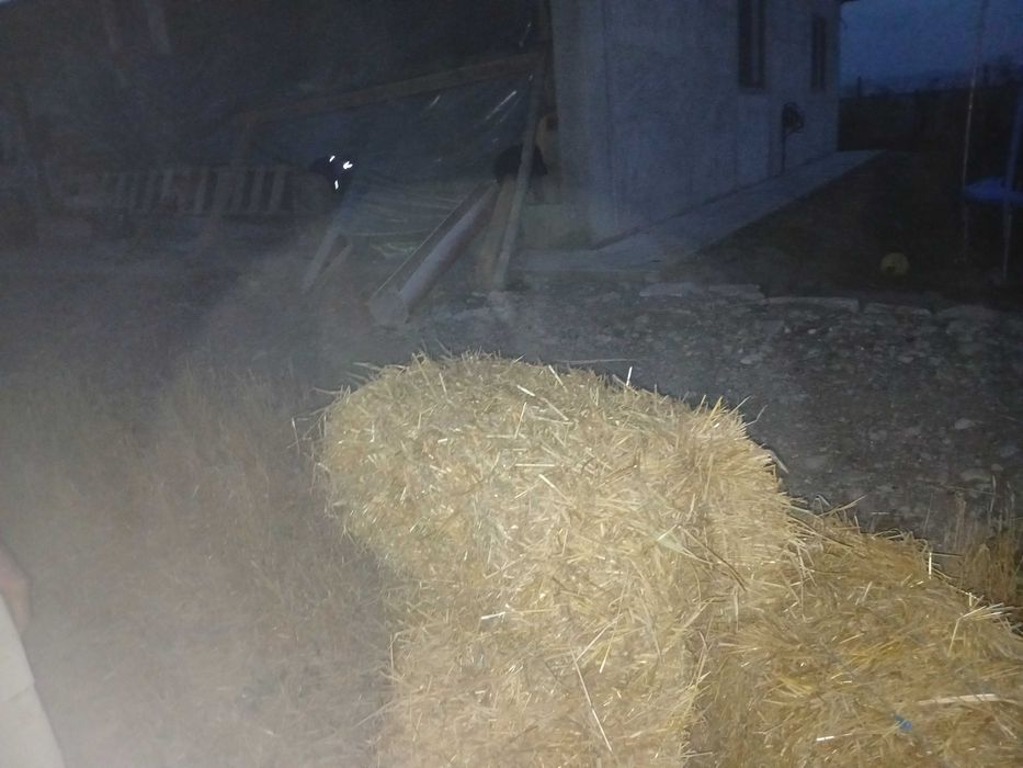 Vând baloți de orzoaică
