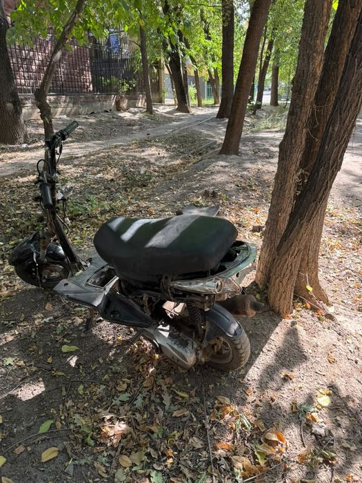 Продам м8 скилет
