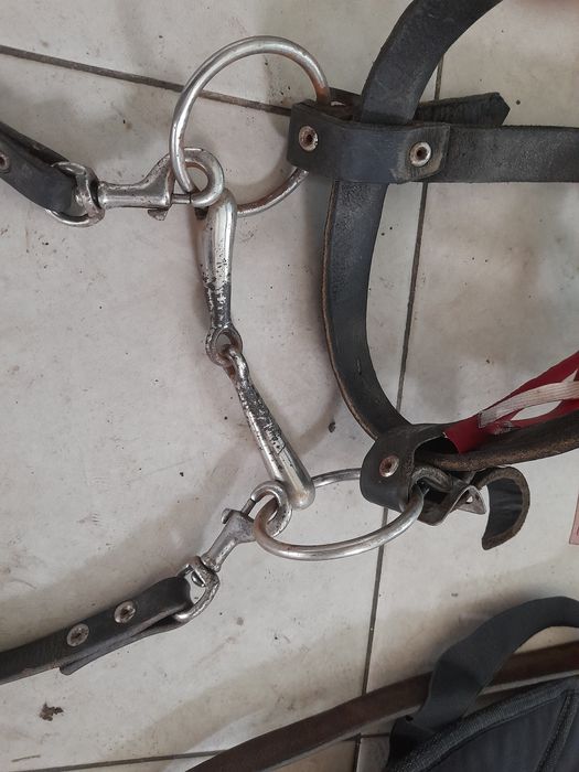 Седло за кон седло гр. Петрич • OLX.bg