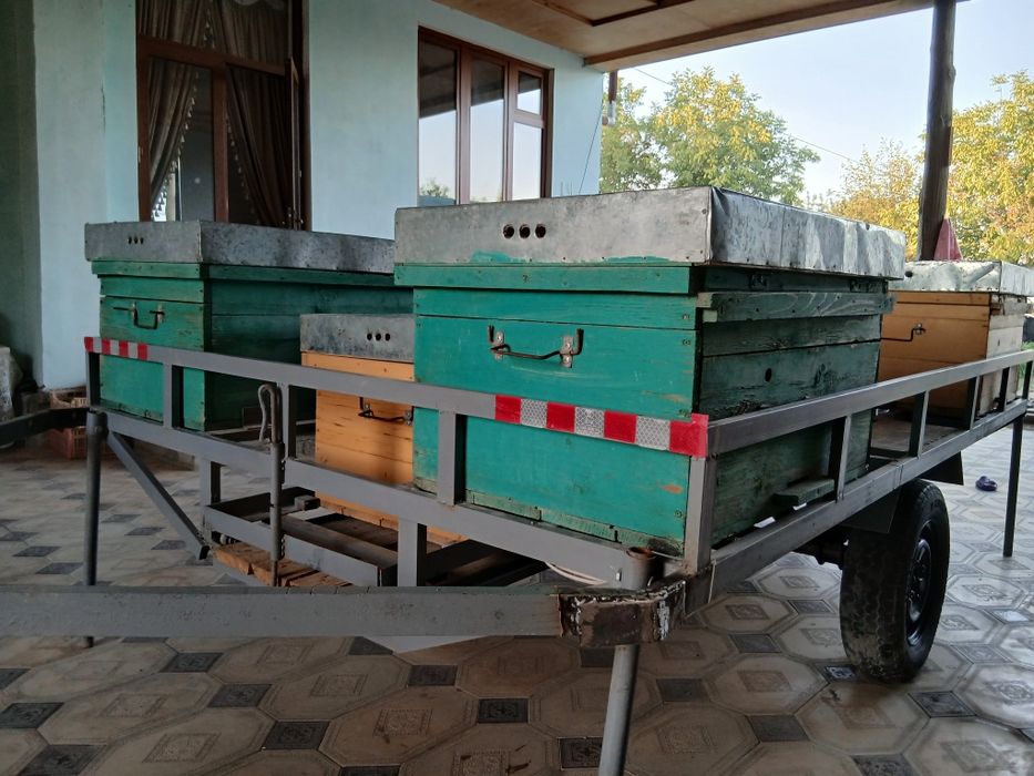 Asalarilar uchun  pritsep