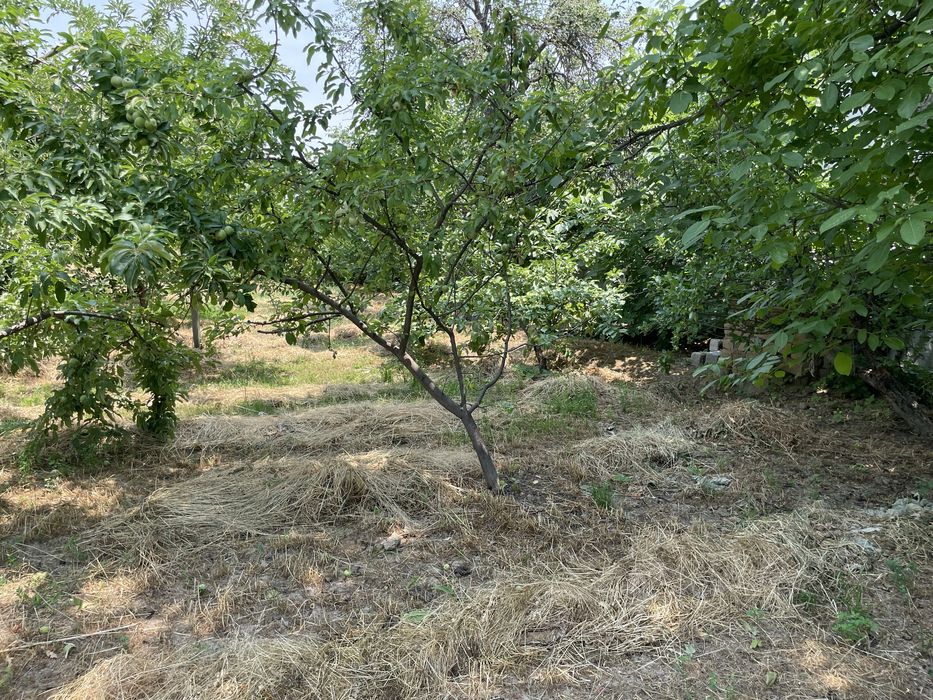 Oq toshda yer sotiladi