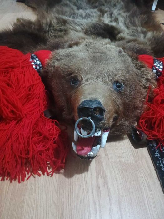 Piele de Urs Stare foarte buna