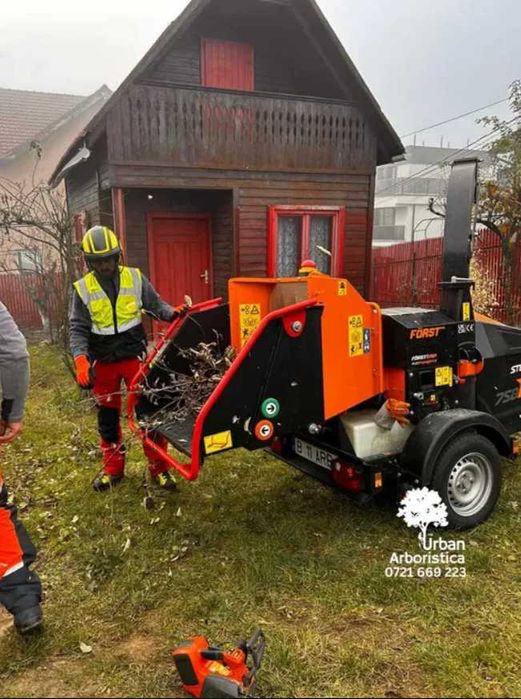 Toaletare Copaci Tăiere Arbori - Defrișare Copaci Periculoși pomi