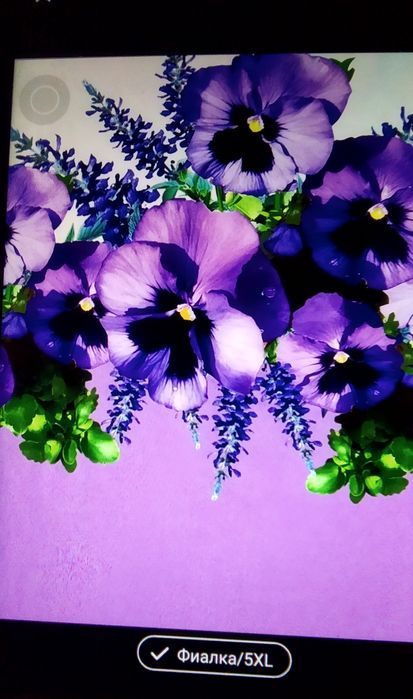 Одежда , блузка для женщин размер 60-62